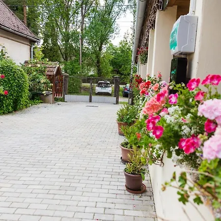 Guest house Szivem Csuecske Vendeghaz